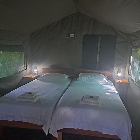 Woodcutter'S Bush Camp At The Old Trading Post Hotel Wildernis Kültér fotó
